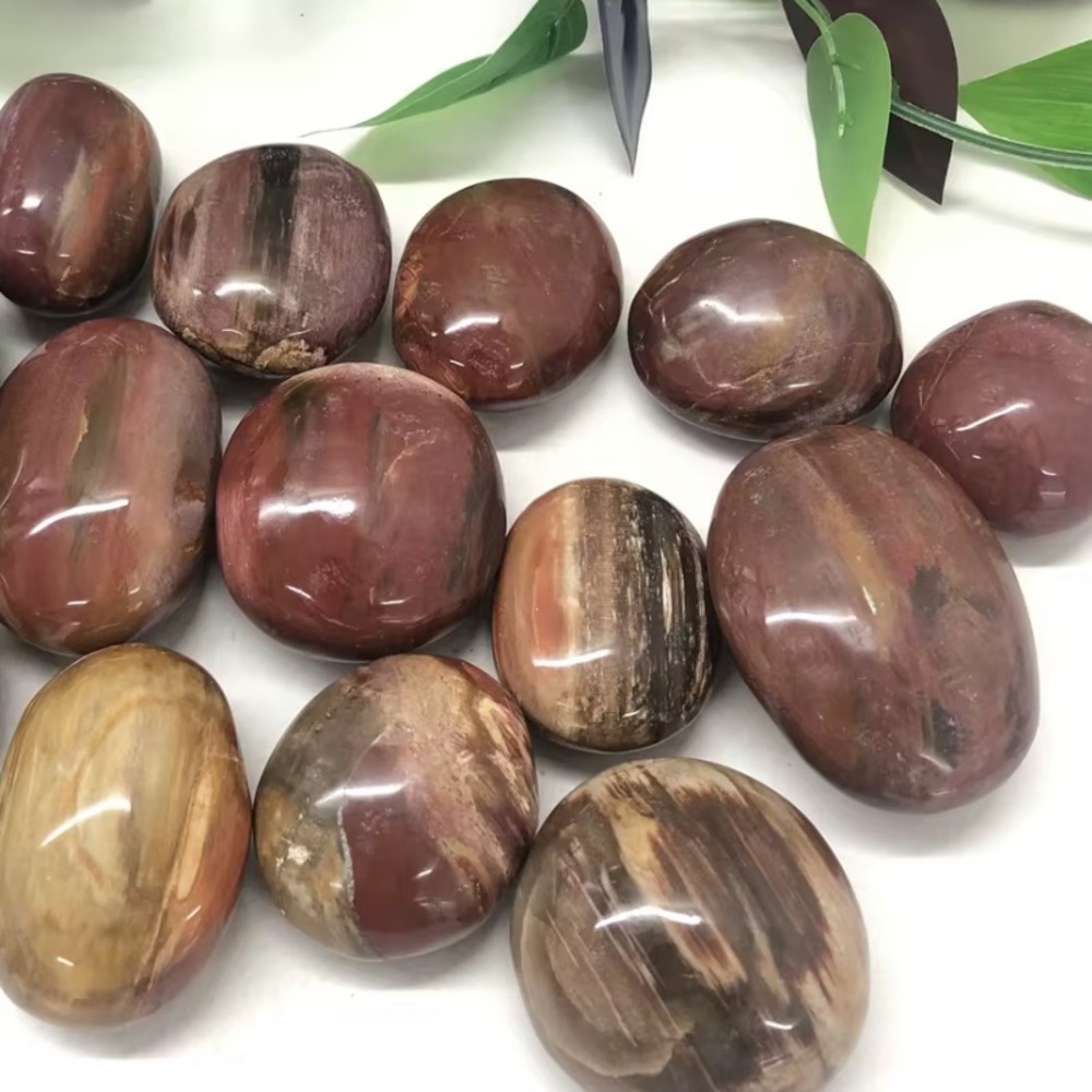 Petrified Wood Palm Stone